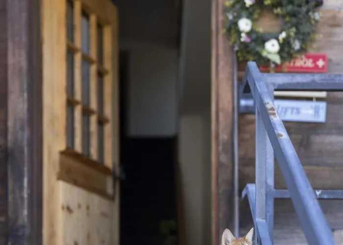 Baren Penthouse By Interhome * Zweisimmen