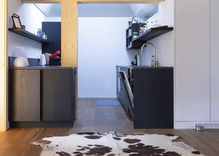 Διαμέρισμα Baren Penthouse By Interhome Zweisimmen